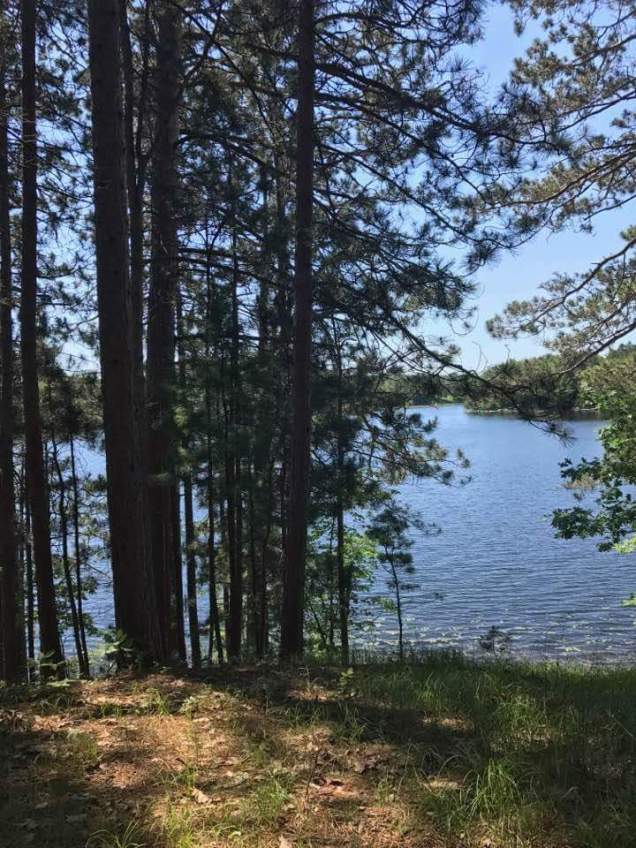 FB_IMG_1499881663054